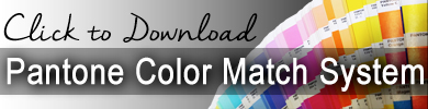 Matsui Pantone Color Match System